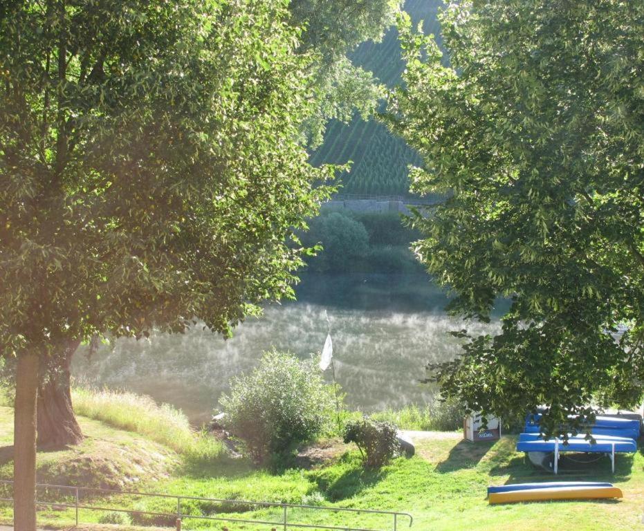 Mosel-Side Διαμέρισμα Reil Εξωτερικό φωτογραφία